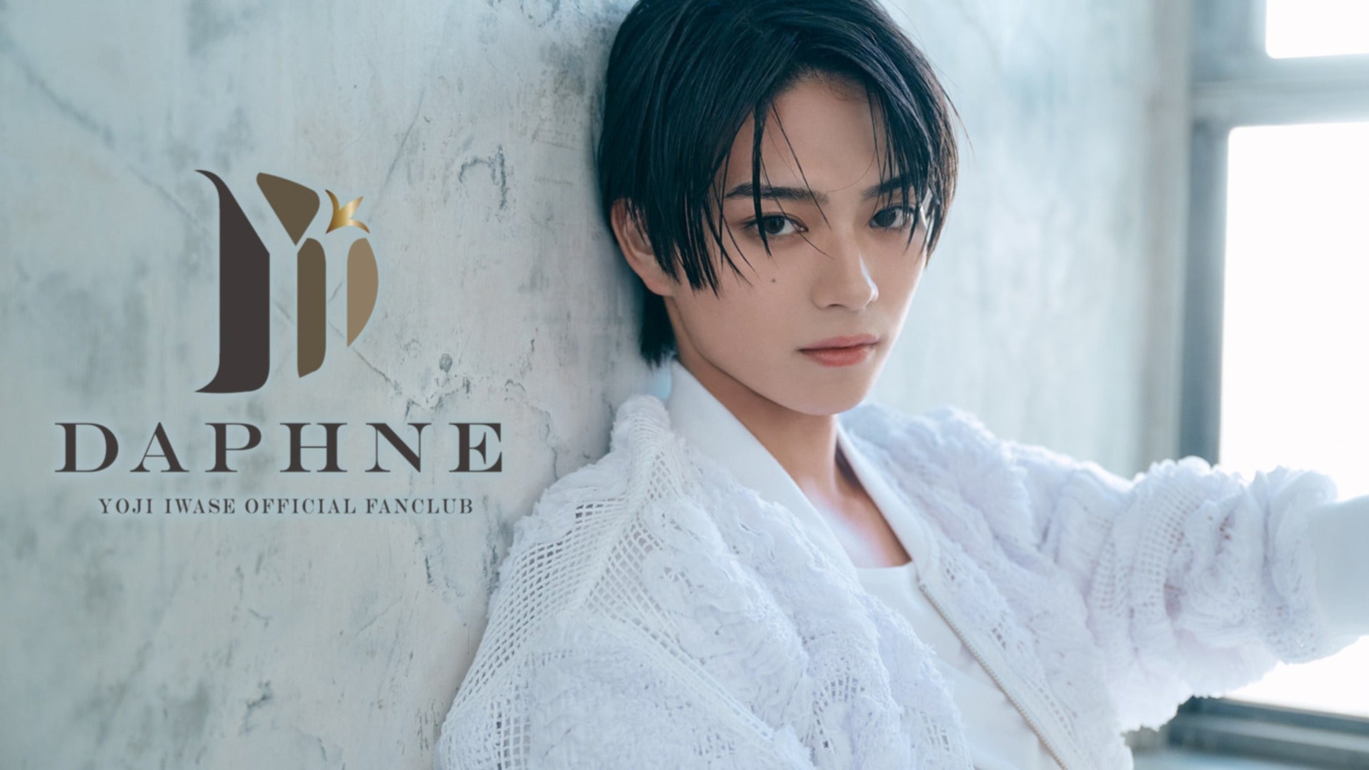 岩瀬洋志　Daphne クリスマスファンミ　トレカ　フルコンプ 岩瀬洋志 トレカ ファンミ サイン コンプ クリスマス FC限定